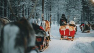 Rovaniemi Bus